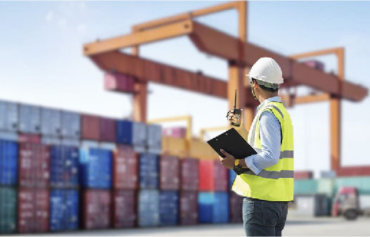 DESPACHOS  ADUANALES